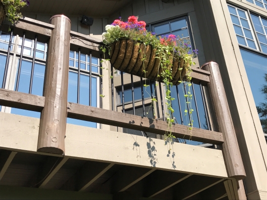 Railing11